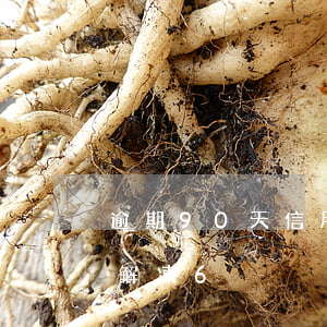 逾期90天信用卡解凍（中信信用卡逾期自動解凍6）