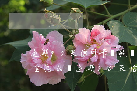 逾期90天信用卡還款沖銷(xiāo)本金怎么辦（逾期90天信用卡還款沖銷(xiāo)本金）