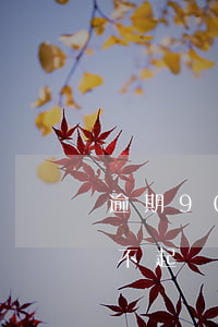 逾期90天信用社起訴 信用社逾期5年怎么不起訴我