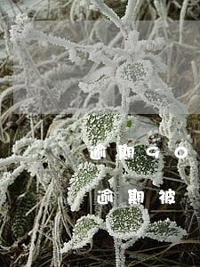 逾期90天內(nèi)信用卡解凍(信用卡逾期被凍結(jié)后,什么時候可以解除)