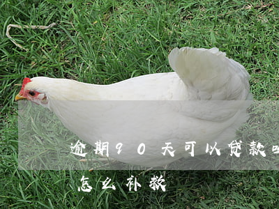 逾期90天可以贷款吗(贷款逾期90天以上怎么补救)