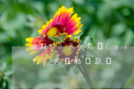 逾期90天后能協(xié)商還款嗎(逾期90天還能貸款嗎)