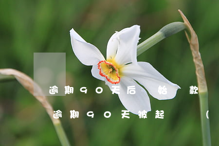逾期90天后開始還款會(huì)起訴嗎 逾期90天被起訴會(huì)怎么樣