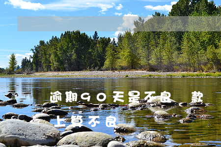 逾期90天是不良貸款嗎(利息逾期90天以上算不良嗎)