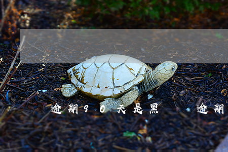 逾期90天是黑戶嗎(逾期90天是黑戶嗎)