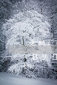 逾期90天本金：貸款嚴(yán)重違約需盡快償還
