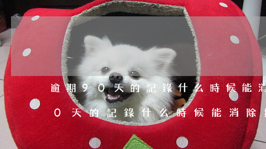 逾期90天的記錄什么時候能消除-逾期90天的記錄什么時候能消除掉