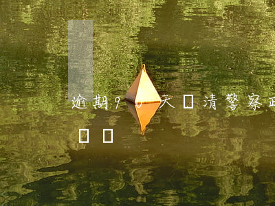 逾期90天還清警察政審(有逾期記錄政審能過嗎)