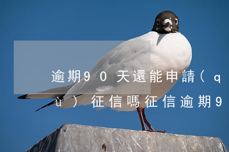 逾期90天還能申請(qǐng)恢復(fù)征信嗎(征信逾期90天多久能消除)