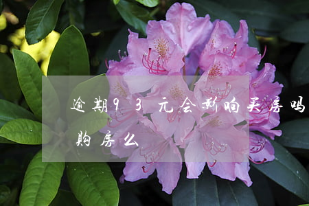 逾期93元会影响买房吗 几百块的逾期影响购房么