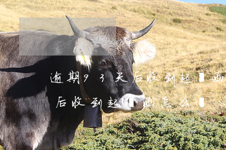 逾期93天后收到起訴函怎么辦（逾期93天后收到起訴函怎么辦）