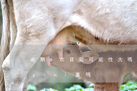 逾期9次貸款可能性大嗎(征信逾期九次嚴(yán)重嗎)