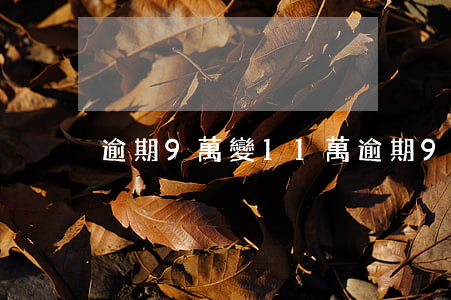 逾期9萬變11萬(逾期9萬變11萬)