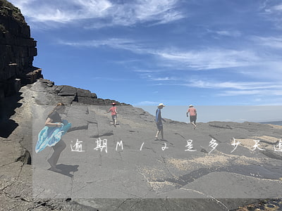 逾期M12是多少天(逾期m12是啥意思)
