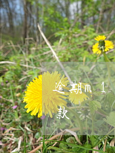 逾期m12是不良貸款(逾期m12是不良貸款)