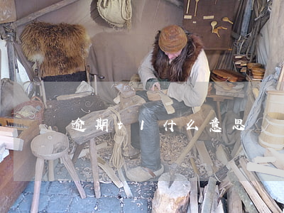 逾期t1什么意思