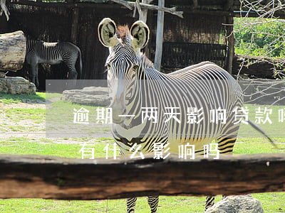 逾期一两天影响贷款吗(一年内两次贷款逾期有什么影响吗)