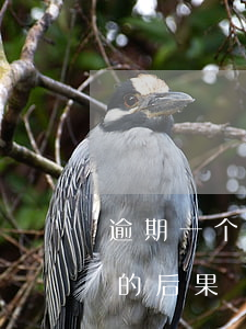 逾期一个半月还款的后果(逾期一个半月还款的后果)