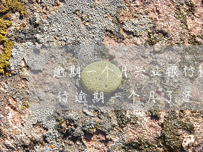 逾期一个月兴业银行被止付有救吗-兴业银行逾期一个月了还了之后还能用吗