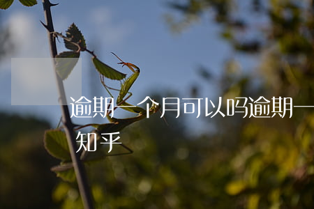 逾期一个月可以吗（逾期一个月能办信用卡吗知乎）