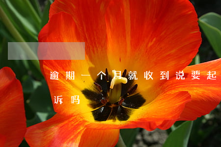 逾期一个月就收到说要起诉(逾期一周会被起诉吗)