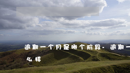 逾期一个月是哪个阶段-逾期一个半月会怎么样