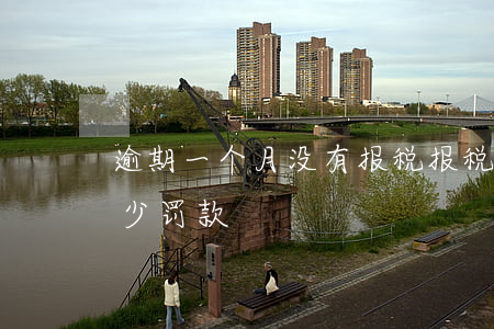 逾期一个月没有报税(报税逾期一个月要交多少罚款)