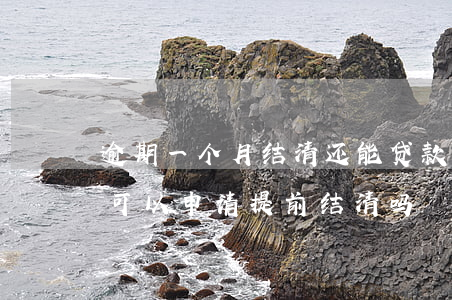 逾期一个月结清还能贷款吗(房贷逾期一年了,可以申请提前结清吗?)