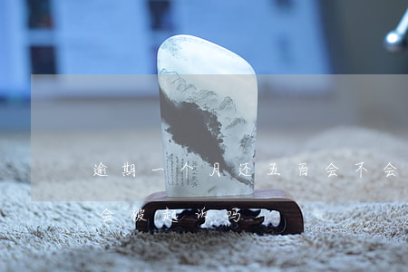 逾期一个月还五百会不会起诉(逾期5000会被起诉吗)