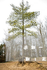 逾期一個(gè)多月金條說要起訴(金條逾期1天算嚴(yán)重逾期嗎)