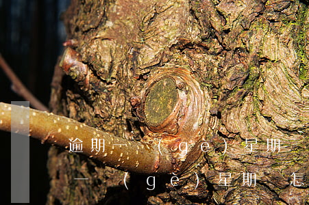 逾期一個(gè)星期會怎么樣(信用卡逾期一個(gè)星期會怎么樣)