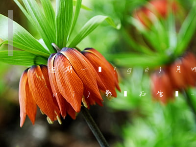 逾期一個(gè)月以內(nèi)會(huì)影響征信嗎-逾期一個(gè)月以內(nèi)會(huì)影響征信嗎
