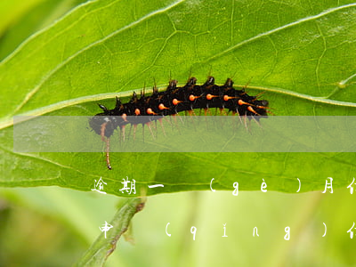 逾期一個(gè)月信用卡異常(有一次逾期申請(qǐng)信用卡)