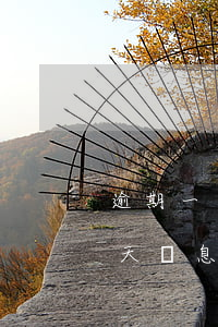 逾期一個(gè)月利息多少錢(貸款逾期一天罰息多少錢)