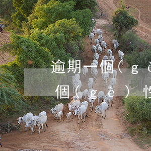 逾期一個(gè)月可以申請(qǐng)個(gè)性化分期嗎-逾期一個(gè)月可以申請(qǐng)個(gè)性化分期嗎