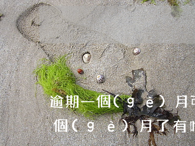 逾期一個(gè)月可以貸款嗎?(貸款逾期一個(gè)月了有啥影響么)