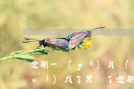 逾期一個(gè)月會(huì)不會(huì)成了黑戶了 逾期一個(gè)月會(huì)不會(huì)成了黑戶了呀