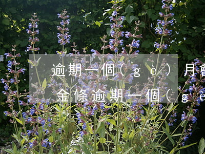 逾期一個(gè)月會(huì)怎么樣-金條逾期一個(gè)月會(huì)怎么樣