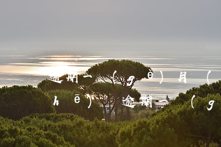 逾期一個(gè)月會(huì)拖車(chē)嗎（逾期一個(gè)月會(huì)拖車(chē)嗎）