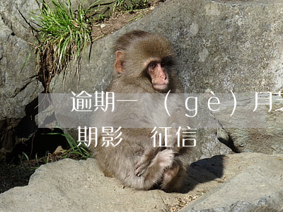 逾期一個(gè)月芝麻信用分掉了(芝麻逾期影響征信嗎)