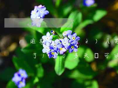 逾期一個(gè)月芝麻信用(芝麻信用逾期了100多天,還可以貸款嗎)