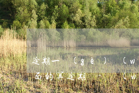 逾期一個(gè)網(wǎng)貸一期后面的算逾期嗎-網(wǎng)貸逾期一期,下期怎么辦