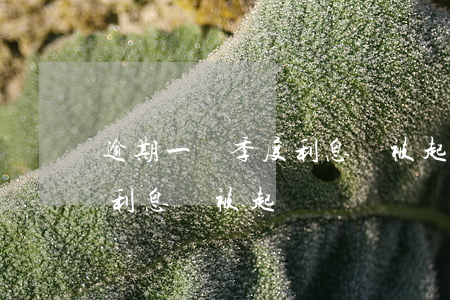 逾期一個季度利息會被起訴嗎（逾期一個季度利息會被起訴嗎）
