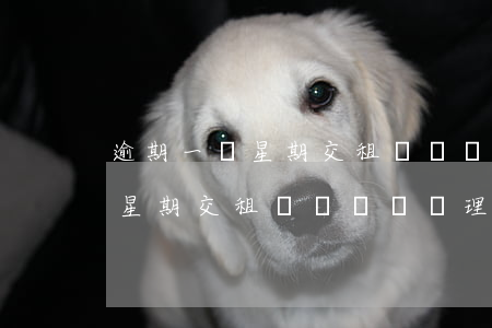 逾期一個星期交租視為違約處理-逾期一個星期交租視為違約處理嗎