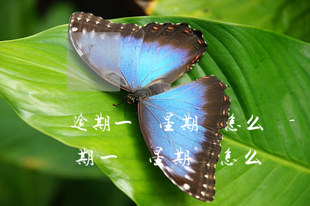 逾期一個星期會怎么樣-拼多多先用后付逾期一個星期會怎么樣