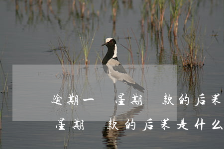 逾期一個星期還款的后果是什么-逾期一個星期還款的后果是什么呢