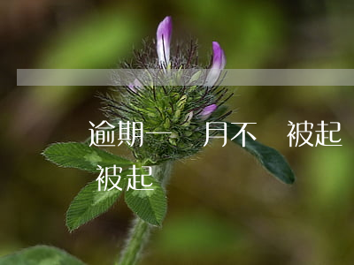 逾期一個月不會被起訴吧(貸款逾期一個月會被起訴嗎)