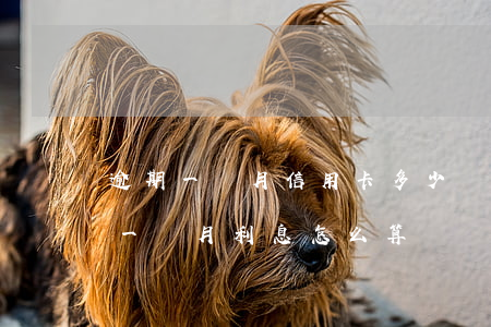 逾期一個月信用卡多少費用(信用卡1w逾期一個月利息怎么算)