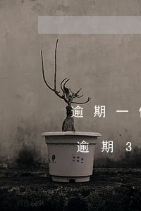 逾期一個月信用卡被凍結(jié)（信用卡逾期3個月還可以解凍嗎）