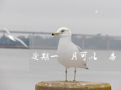 逾期一個月可以辦房貸嗎(房貸能逾期一個月嗎)
